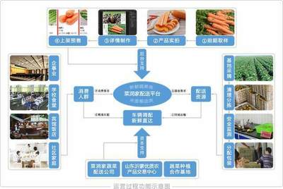 “互聯(lián)網(wǎng)+基地+用戶” 構(gòu)建高效透明的農(nóng)產(chǎn)品放心供應(yīng)鏈